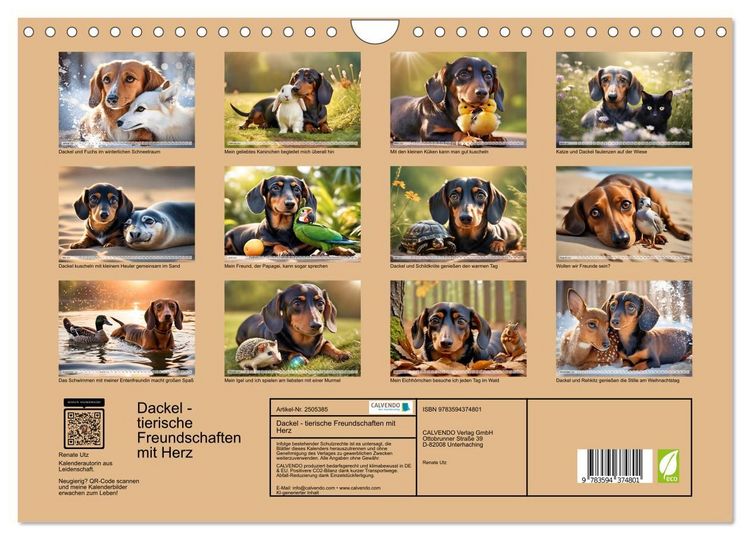 Produktbild: Dackel - tierische Freundschaften mit Herz (Wandkalender 2027 DIN A4 quer), CALVENDO Monatskalender