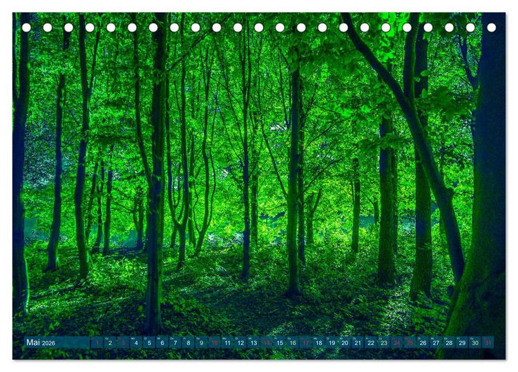 Produktbild: Bielefeld - Der Obersee - unendliche Motive... (Tischkalender 2026 DIN A5 quer), CALVENDO Monatskalender