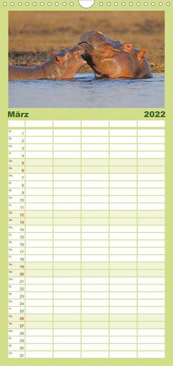 Produktbild: Flusspferde Magie des Augenblicks - Hippos in Afrika - Familienplaner hoch (Wandkalender 2022 , 21 cm x 45 cm, hoch)