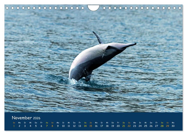 Produktbild: Faszinierende Tierwelt von Mauritius - Magische Momente der Natur (Wandkalender 2026 DIN A4 quer), CALVENDO Monatskalender