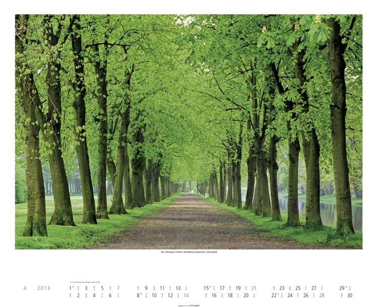Produktbild: Alleen 2013