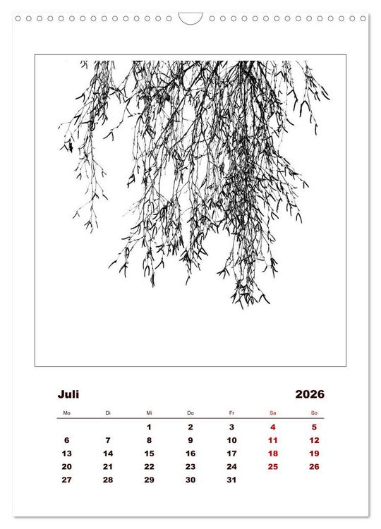 Produktbild: LignoGrafica - Muster und Strukturen der B&auml;ume (Wandkalender 2026 DIN A3 hoch), CALVENDO Monatskalender