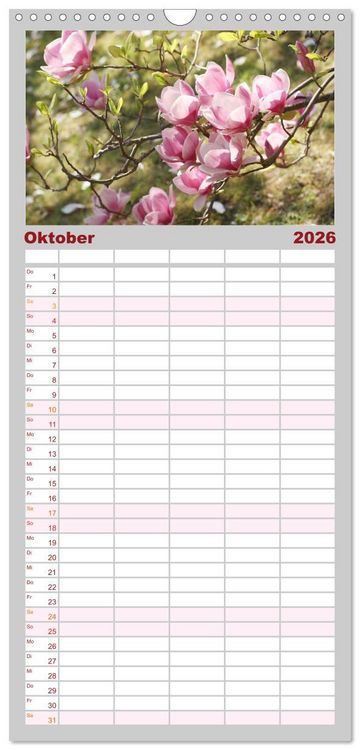 Produktbild: Familienplaner 2026 - Magnolien Ein Bl&uuml;tenrausch mit 5 Spalten (Wandkalender, 21 x 45 cm) CALVENDO