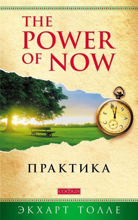 Produktbild: Practicing the Power of Now