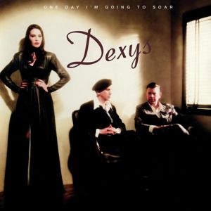 Produktbild: One Day Im Going to Soar (2LP)