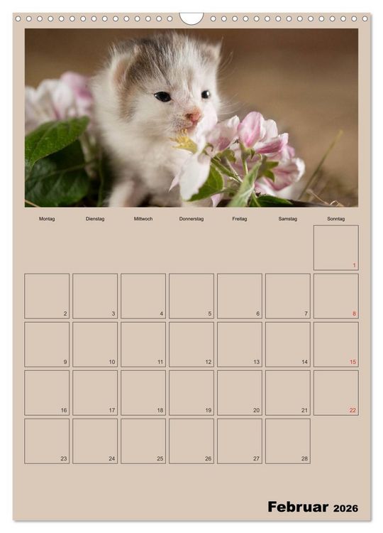 Produktbild: Mit Katzen durchs Jahr / Planer (Wandkalender 2026 DIN A3 hoch), CALVENDO Monatskalender