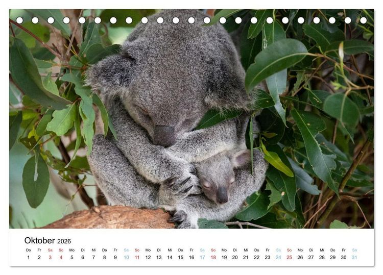 Produktbild: Australiens wunderbare Tiere (Tischkalender 2026 DIN A5 quer), CALVENDO Monatskalender