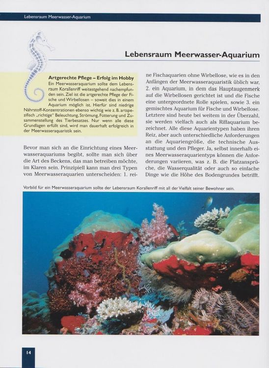 Produktbild: Das Meerwasseraquarium