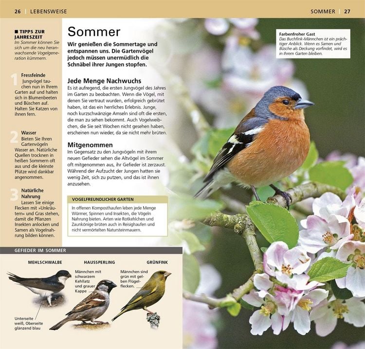 Produktbild: Gartenv&ouml;gel beobachten und bestimmen