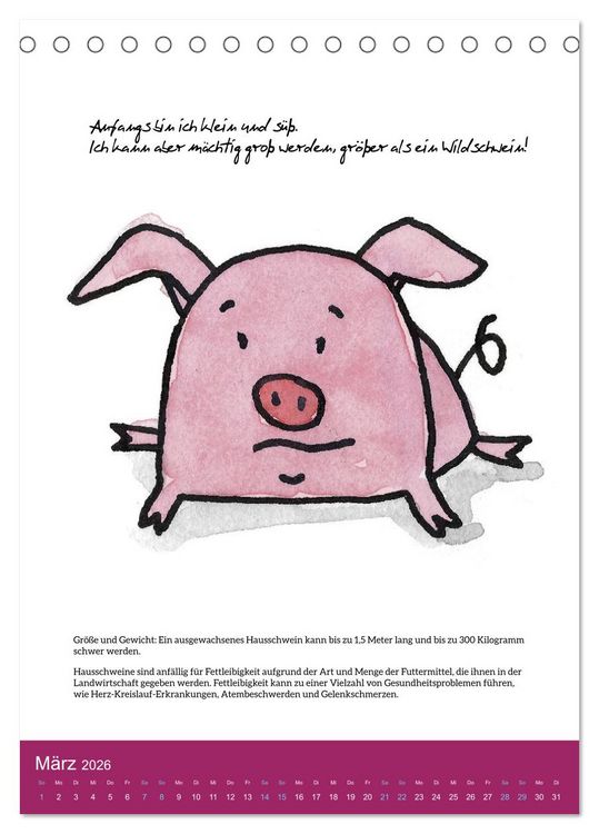 Produktbild: Schweinekalender - Alles was du &uuml;ber Schweine wissen wolltest! (Tischkalender 2026 DIN A5 hoch), CALVENDO Monatskalender