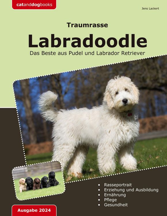 Produktbild: Traumrasse: Labradoodle