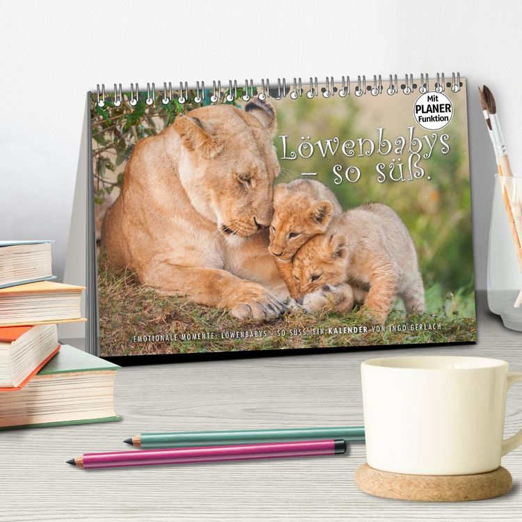 Produktbild: Emotionale Momente: L&ouml;wenbabys - so s&uuml;&szlig;. (Tischkalender 2026 DIN A5 quer), CALVENDO Monatskalender