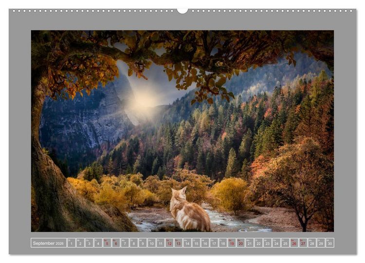 Produktbild: Kleine Streuner (hochwertiger Premium Wandkalender 2026 DIN A2 quer), Kunstdruck in Hochglanz