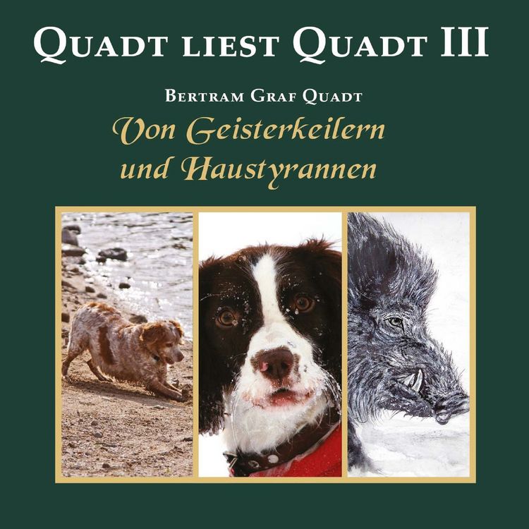 Produktbild: Quadt liest Quadt III