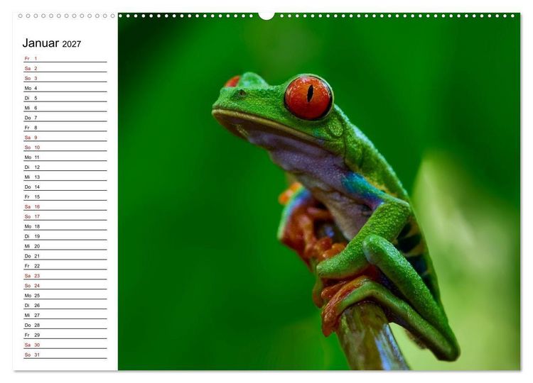 Produktbild: Costa Rica &ndash; Tierparadies im Regenwald (hochwertiger Premium Wandkalender 2027 DIN A2 quer), Kunstdruck in Hochglanz