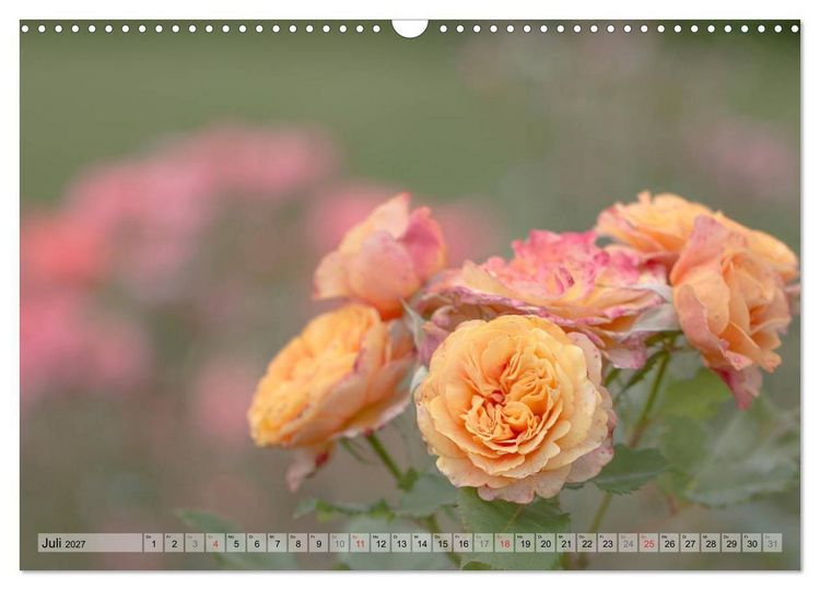 Produktbild: Farbenfroher Bl&uuml;tentraum (Wandkalender 2027 DIN A3 quer), CALVENDO Monatskalender