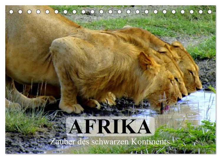 Produktbild: Afrika. Zauber des schwarzen Kontinents (Tischkalender 2026 DIN A5 quer), CALVENDO Monatskalender
