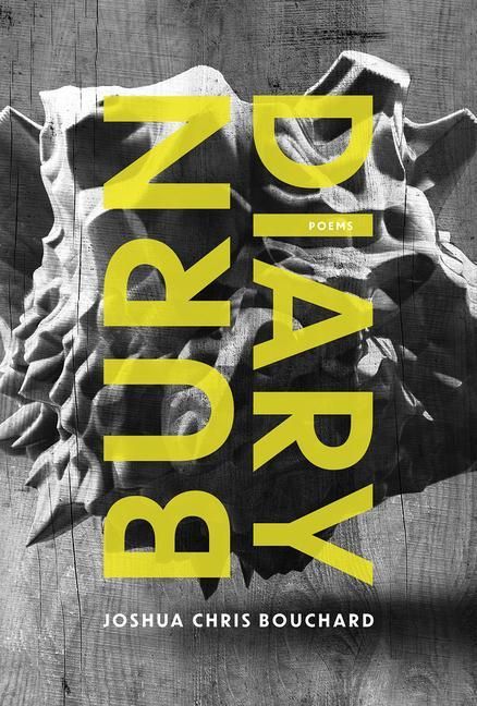 Produktbild: Burn Diary