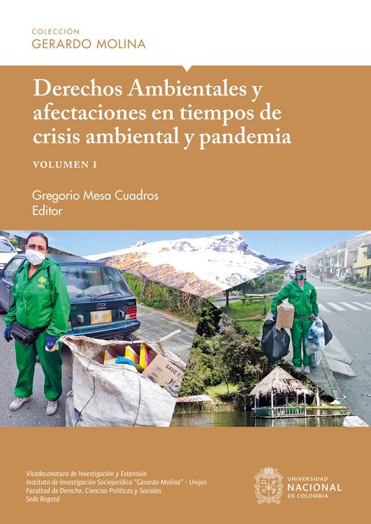 Produktbild: Derechos Ambientales y afectaciones en tiempos de crisis ambiental y pandemia, volumen I