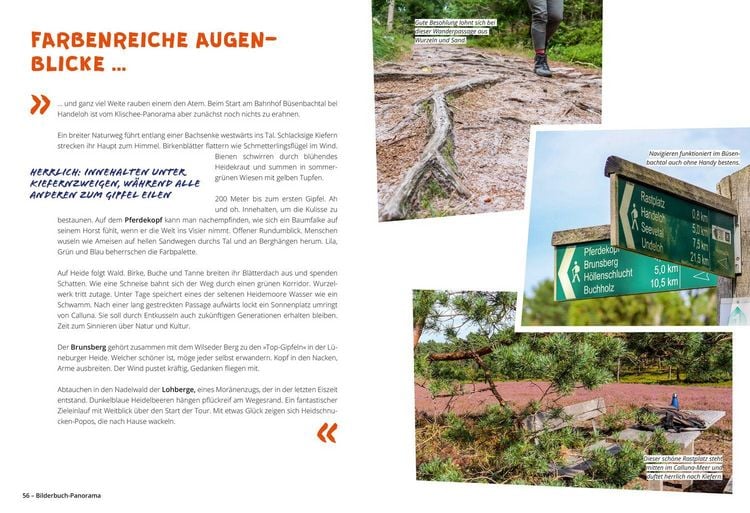Produktbild: DUMONT Wanderzeit in der L&uuml;neburger Heide