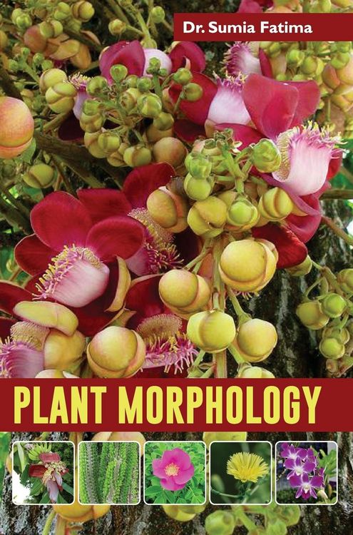 Produktbild: Plant Morphology