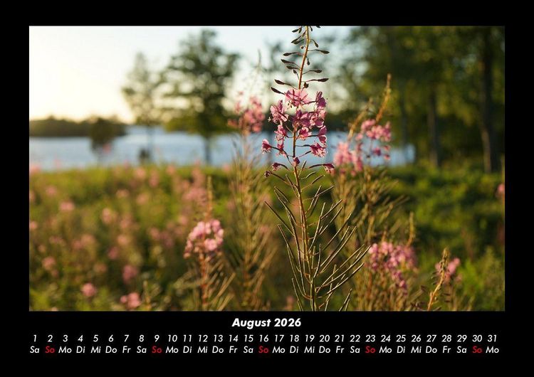 Produktbild: Blumentraum 2026 Fotokalender DIN A3
