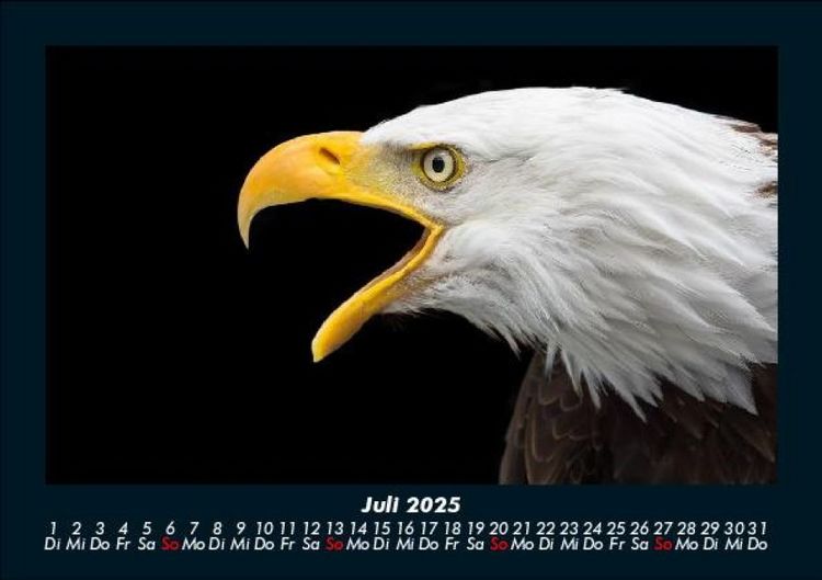 Produktbild: Adler 2025 Fotokalender DIN A5