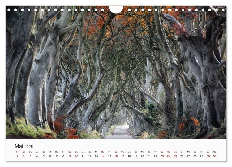 Produktbild: Naturschauspiel Irland (Wandkalender 2026 DIN A4 quer), CALVENDO Monatskalender
