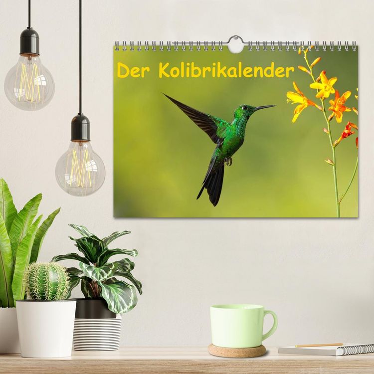 Produktbild: Der Kolibrikalender (Wandkalender 2026 DIN A4 quer), CALVENDO Monatskalender