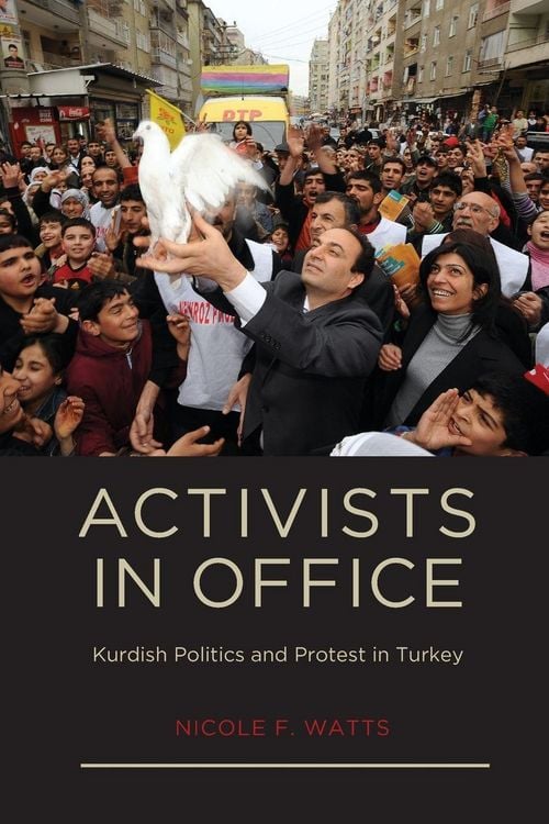 Produktbild: Activists in Office