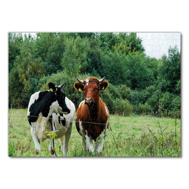 Produktbild: Lais Puzzle K&uuml;he 500 Teile