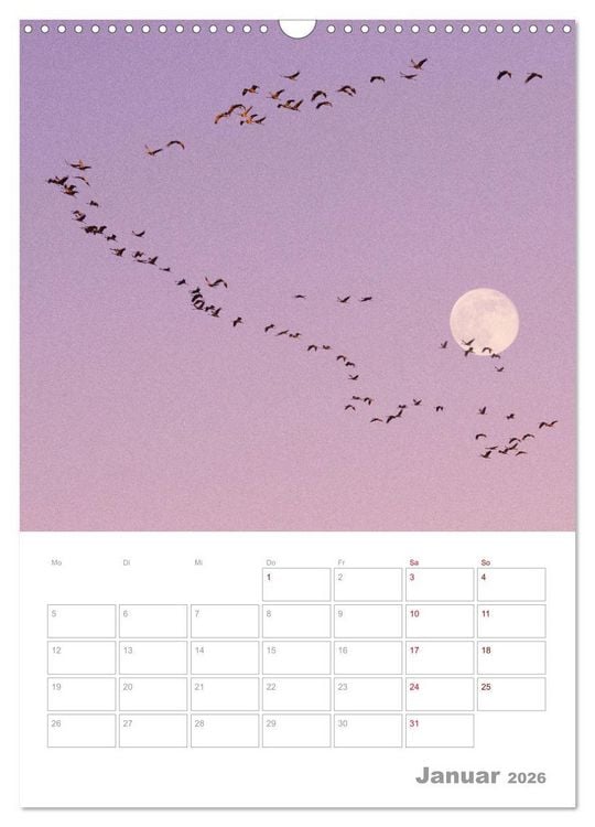 Produktbild: VOLLMOND-Planer - Im Licht der Nacht (Wandkalender 2026 DIN A3 hoch), CALVENDO Monatskalender