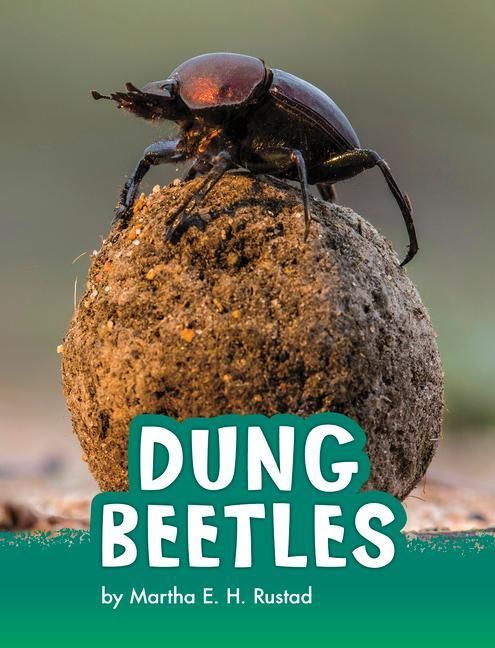 Dung Beetles" auf Englisch kaufen