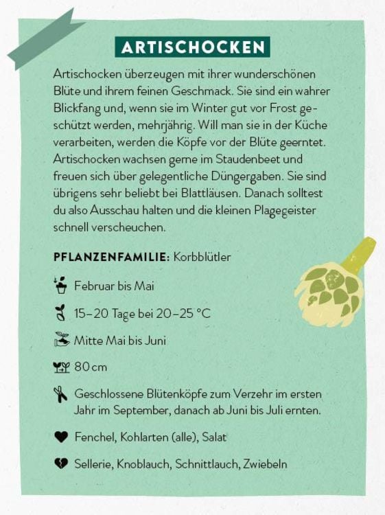 Produktbild: Kartenset: Keine Zeit zu g&auml;rtnern &ndash; 64 Karten &ndash; Einfach und schnell zum Gem&uuml;segarten