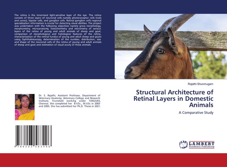 Produktbild: Structural Architecture of Retinal Layers in Domestic Animals