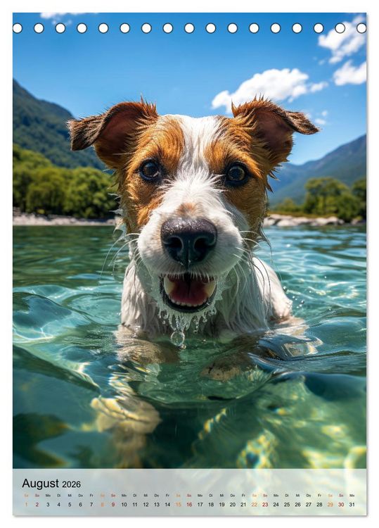 Produktbild: Jack Russel Terrier - furchtlos und viel Selbstvertrauen (Tischkalender 2026 DIN A5 hoch), CALVENDO Monatskalender