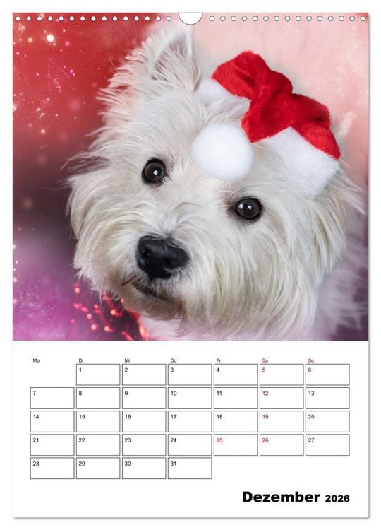 Produktbild: West Highland White Terrier - Herzensbrecher auf vier Pfoten (Wandkalender 2026 DIN A3 hoch), CALVENDO Monatskalender