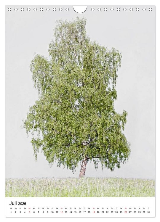 Produktbild: B&auml;ume (Wandkalender 2026 DIN A4 hoch), CALVENDO Monatskalender