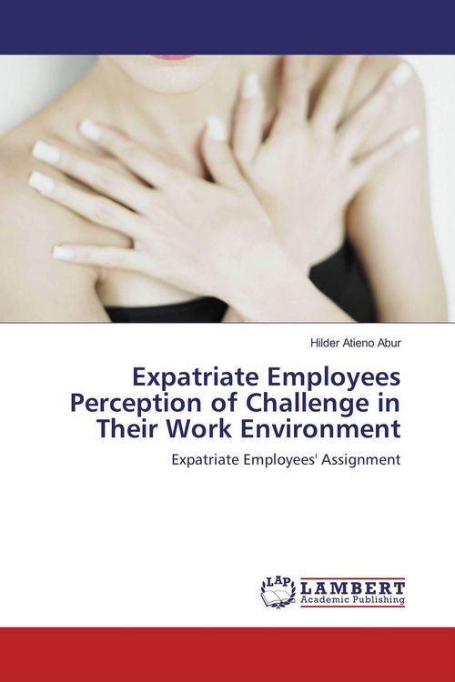 Produktbild: Expatriate Employees Perception of Challenge in Their Work Environment