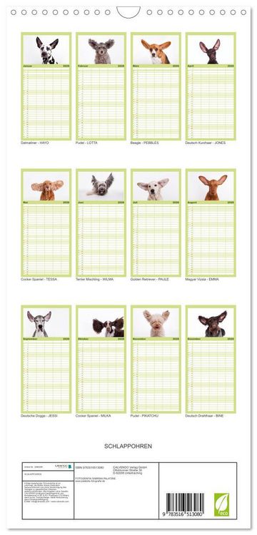 Produktbild: Familienplaner 2026 - SCHLAPPOHREN mit 5 Spalten (Wandkalender, 21 x 45 cm) CALVENDO