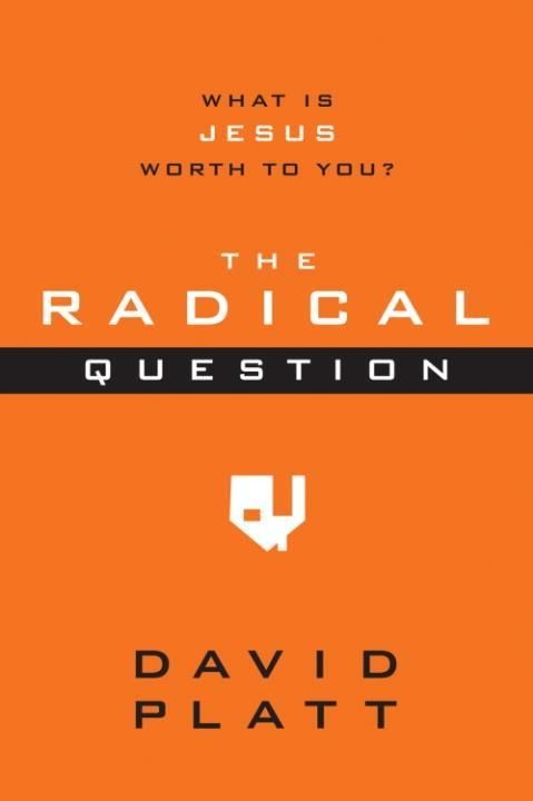 Produktbild: The Radical Question