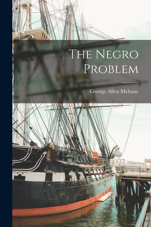 Produktbild: The Negro Problem