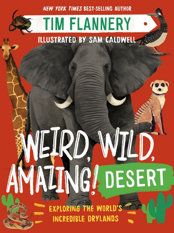 Produktbild: Weird, Wild, Amazing! Desert