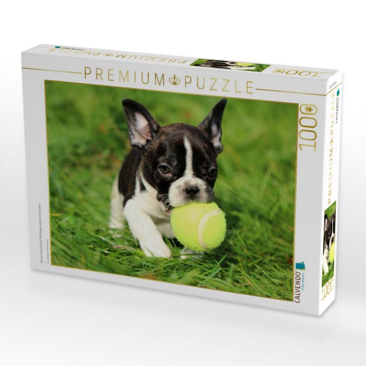 Produktbild: CALVENDO Puzzle Kleiner Franz&ouml;sischer Bulldoggenwelpe beim Spielen | 1000 Teile Lege-Gr&ouml;&szlig;e 64x48cm Foto-Puzzle f&uuml;r gl&uuml;ckliche Stunden