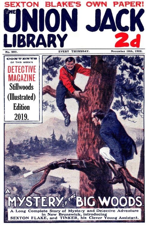 Produktbild: A Mystery in the Big Woods (Illustrated)