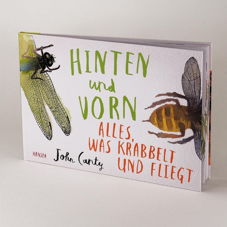 Produktbild: Hinten und vorn - Alles, was krabbelt und fliegt