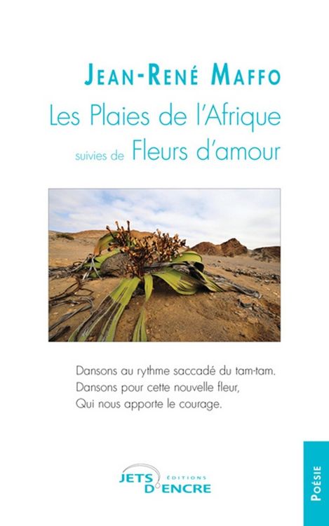 Produktbild: Les plaies de l afrique suivies