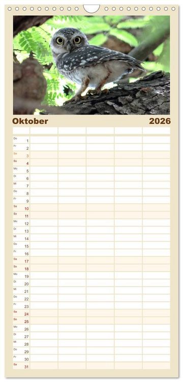 Produktbild: Familienplaner 2026 - Eulen. Gefiederte Weisheit mit 5 Spalten (Wandkalender, 21 x 45 cm) CALVENDO