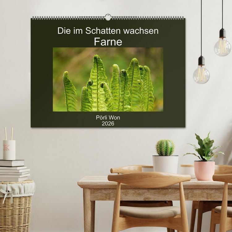 Produktbild: Die im Schatten wachsen - Farne (Wandkalender 2026 DIN A2 quer), CALVENDO Monatskalender