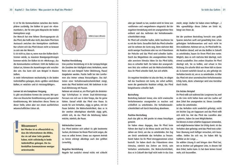 Produktbild: Dual-Aktivierung geritten